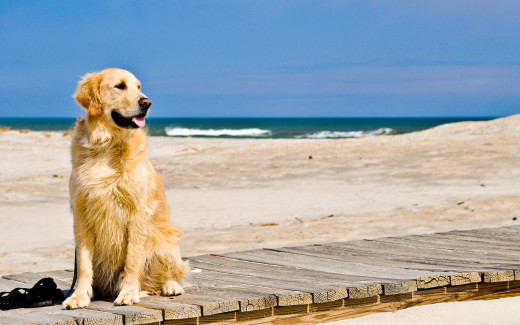 613632 (a): :2560x1600
